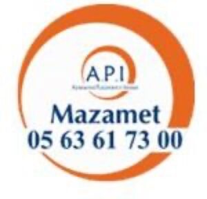 Logo api mzt 150×144 1