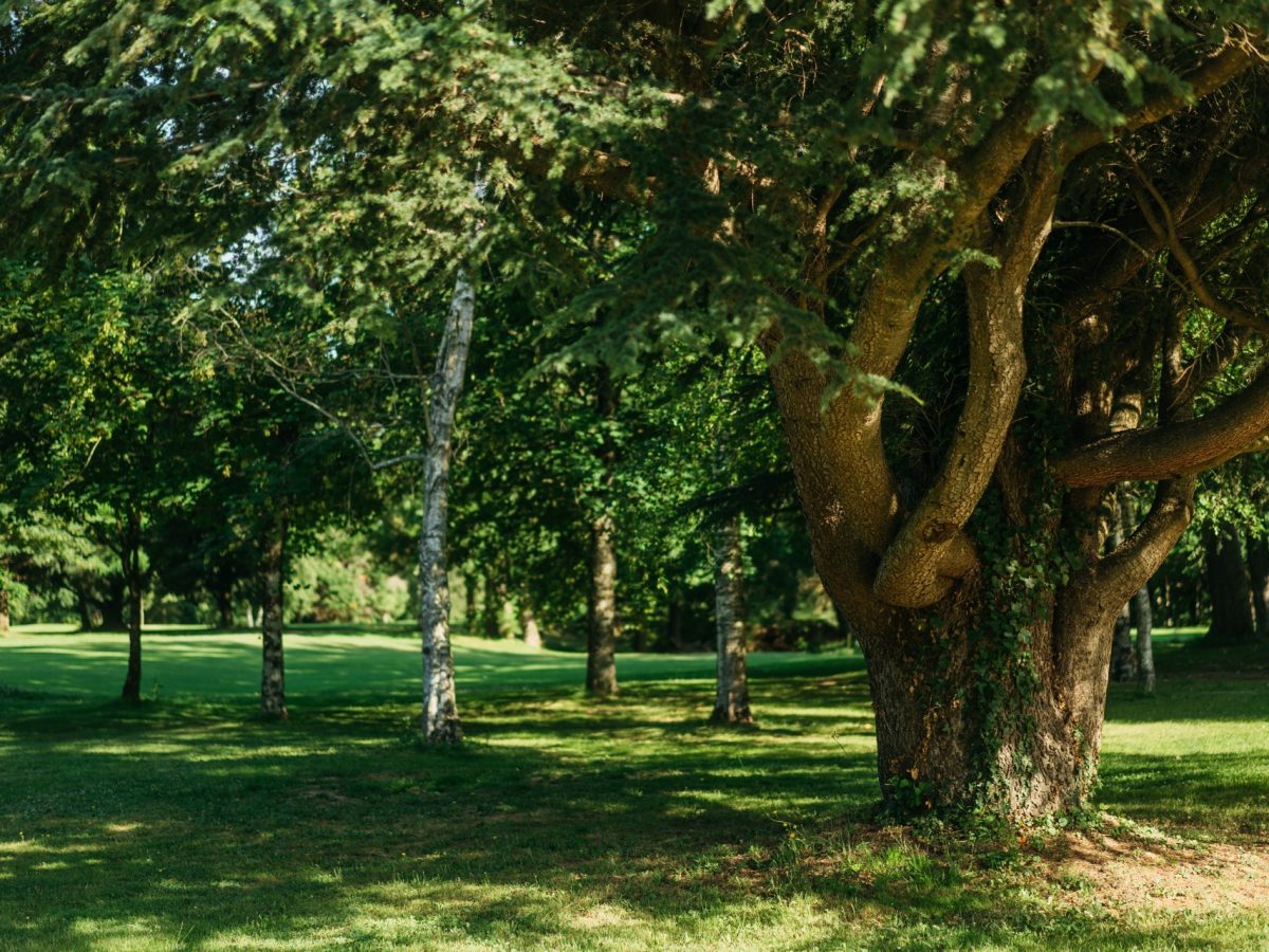 Un parc botanique